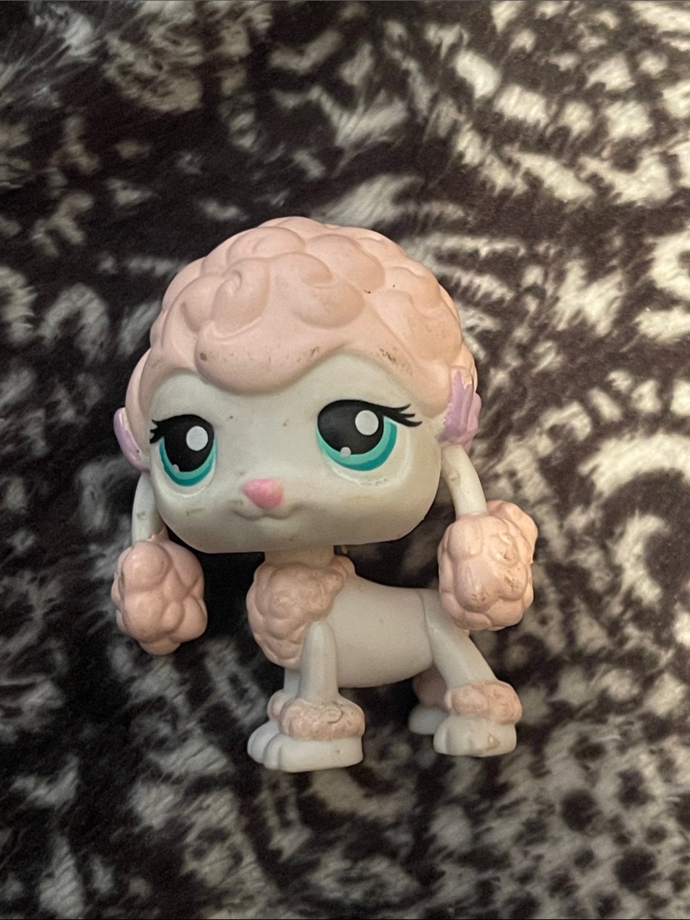 LPS poodle